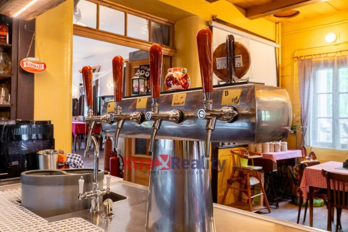 Prodej rodinného domu, Mařenice - Dolní Světlá, 424 m2