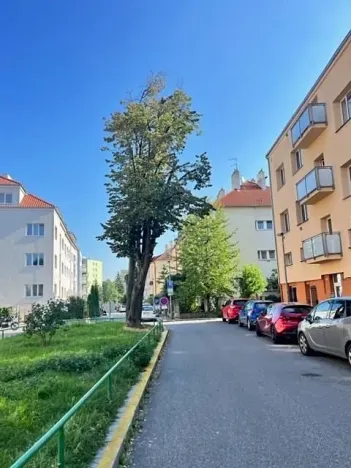 Pronájem bytu 1+kk, Praha - Michle, Na nivách, 28 m2