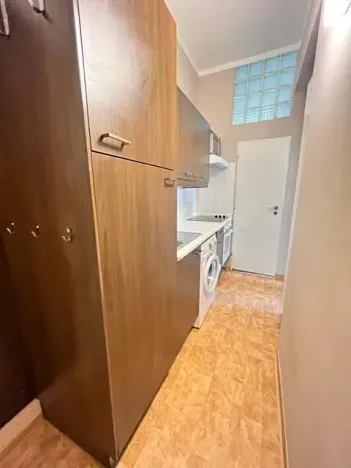 Pronájem bytu 1+kk, Praha - Michle, Na nivách, 28 m2