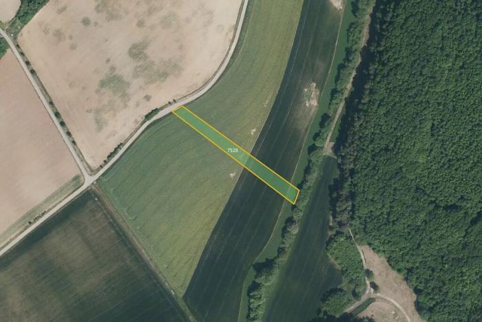 Prodej pole, Lovčice, 5984 m2