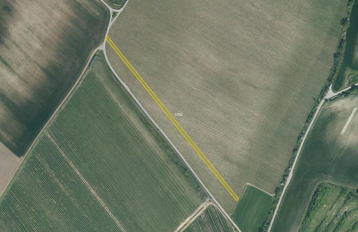 Prodej pole, Lovčice, 5984 m2