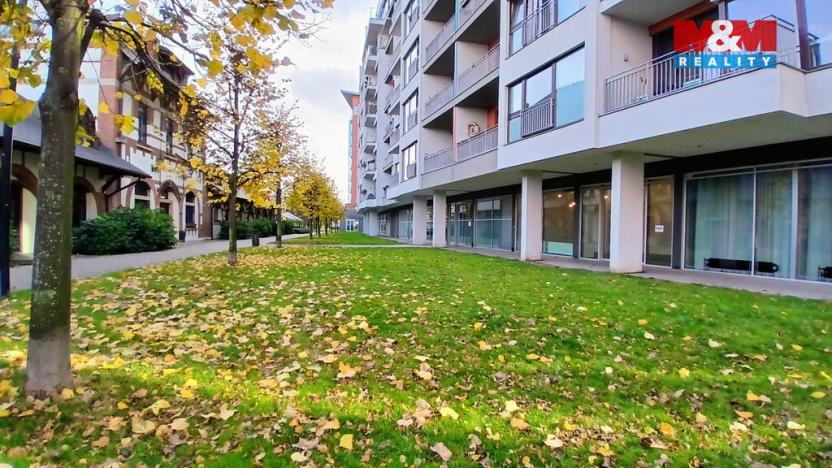 Pronájem kanceláře, Praha, Jankovcova, 58 m2