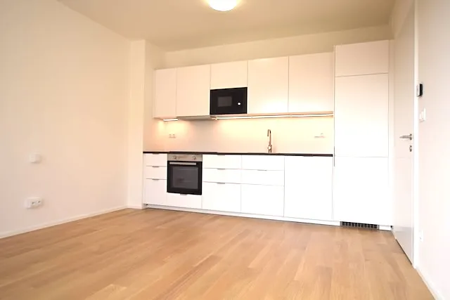 Pronájem bytu 1+kk, Praha - Lysolaje, Lysolajské údolí, 30 m2