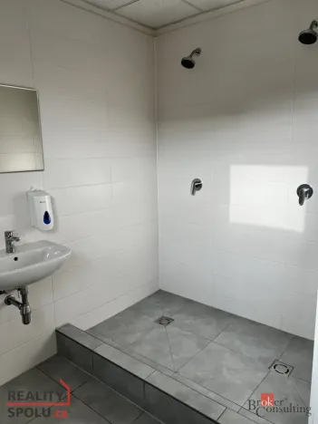 Pronájem skladu, Ostrava - Moravská Ostrava, Plynární, 781 m2