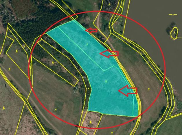 Prodej lesa, Brtnice, 14739 m2