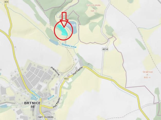 Prodej lesa, Brtnice, 14739 m2