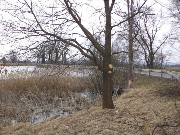 Prodej pole, Dříteň, 1815 m2