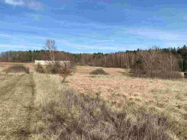 Prodej pozemku, Františkovy Lázně, 2500 m2