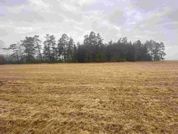 Prodej pole, Hospříz - Hrutkov, 7435 m2