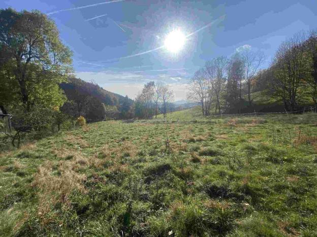 Prodej pole, Zdislava, 1384 m2