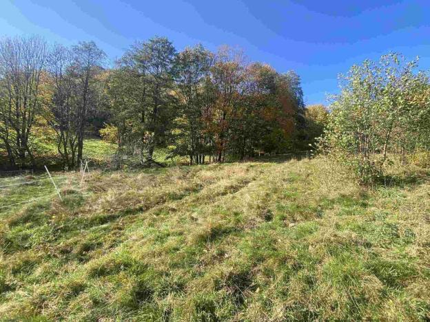 Prodej pole, Zdislava, 1384 m2