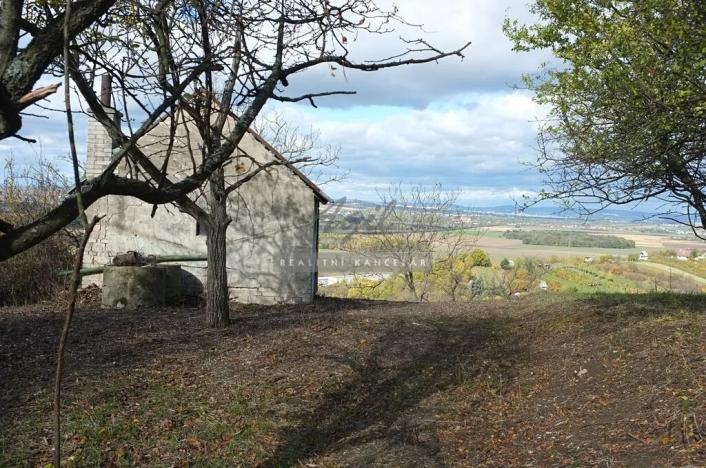 Prodej zahrady, Židlochovice, 2384 m2