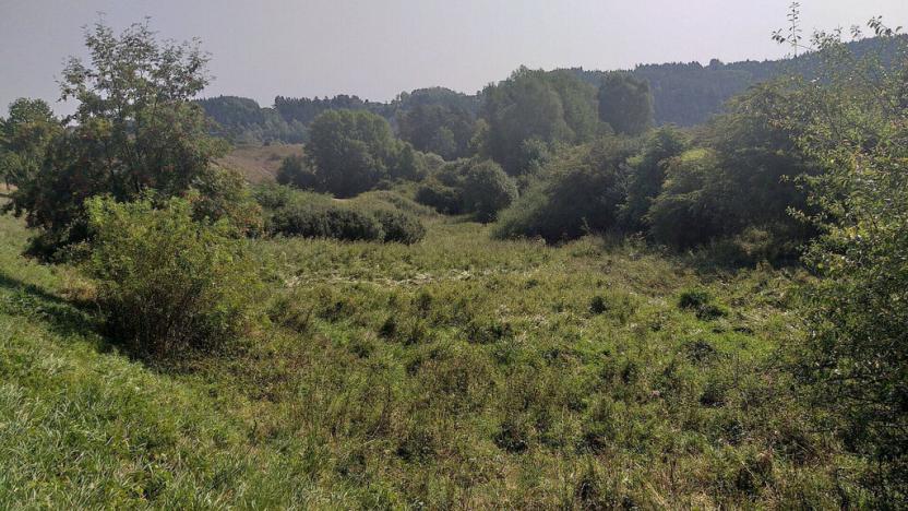 Prodej pole, Úterý, 34244 m2