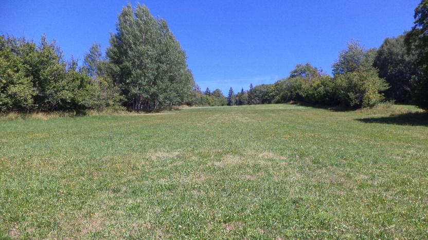 Prodej pole, Strašín, 33901 m2