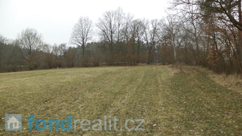 Prodej pole, Zvěstov, 51947 m2