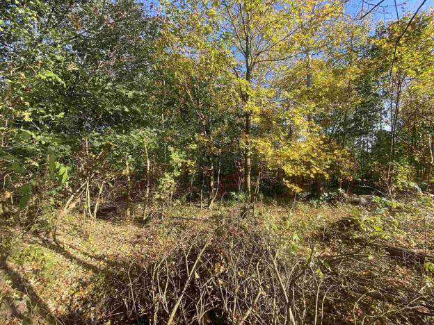 Prodej pozemku, Zdislava, 1043 m2