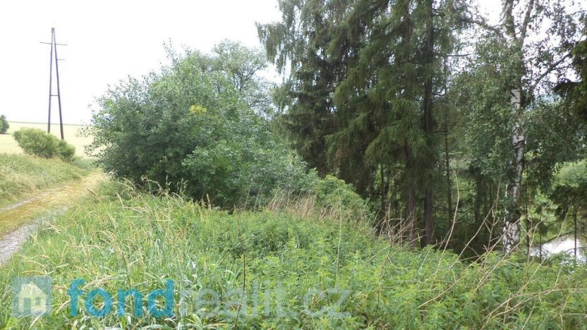 Prodej pozemku, Třebařov, 4992 m2