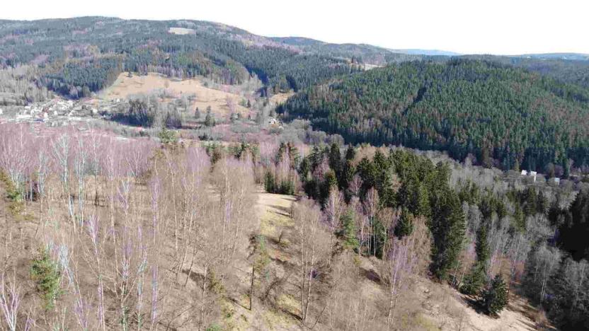 Prodej pole, Kraslice, 3869 m2