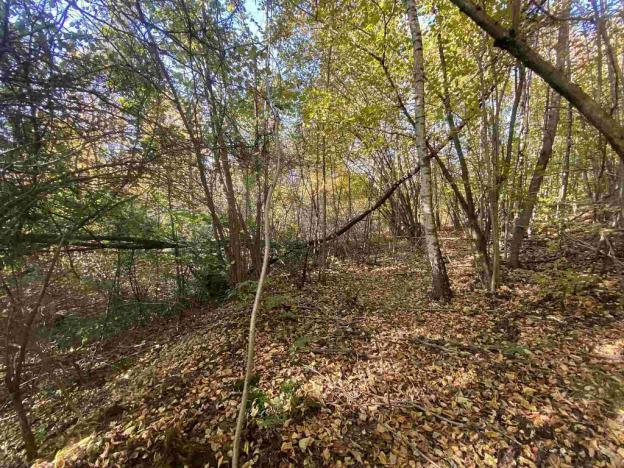 Prodej pole, Železný Brod, 12622 m2