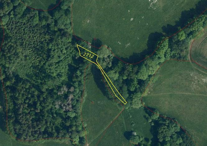 Prodej pole, Benešov u Semil, 606 m2