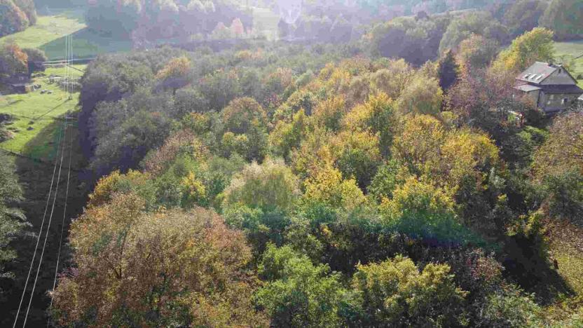 Prodej pozemku, Hrádek nad Nisou - Dolní Sedlo, 543 m2