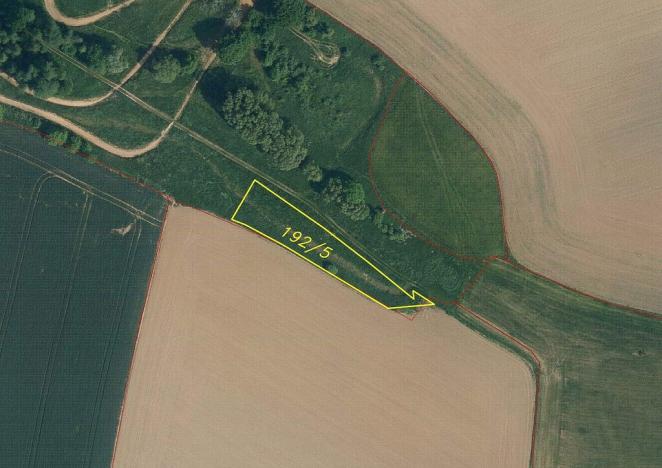 Prodej pozemku, Svijany, 4905 m2