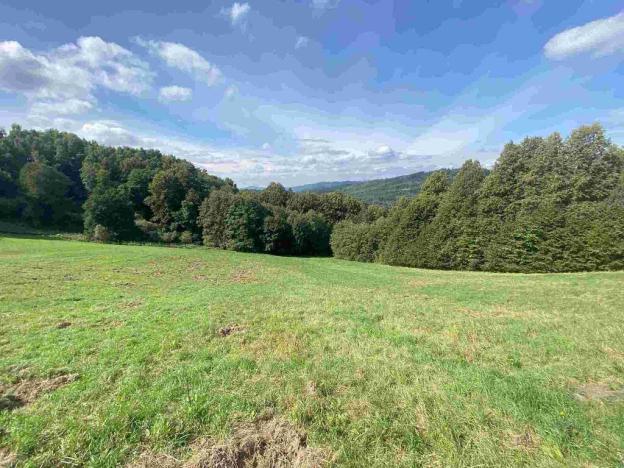 Prodej pozemku, Sobotín, 10593 m2