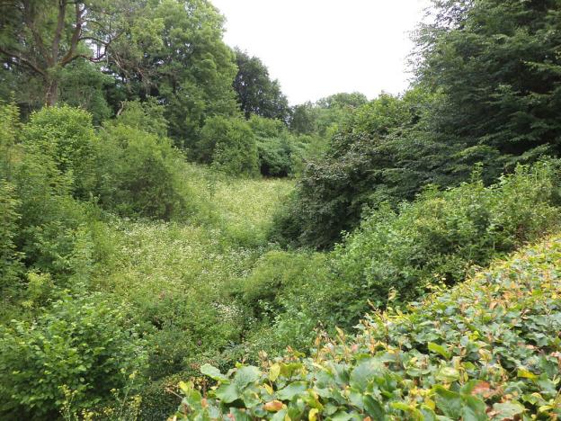 Prodej pozemku, Liberk, 2268 m2