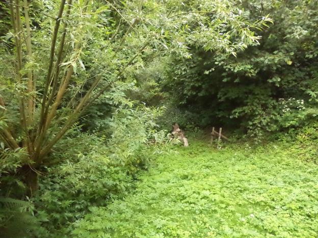 Prodej pozemku, Liberk, 2268 m2