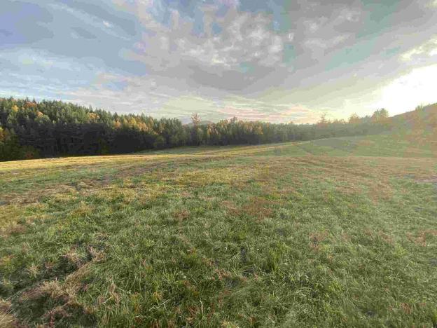 Prodej pole, Cvikov - Trávník, 16894 m2