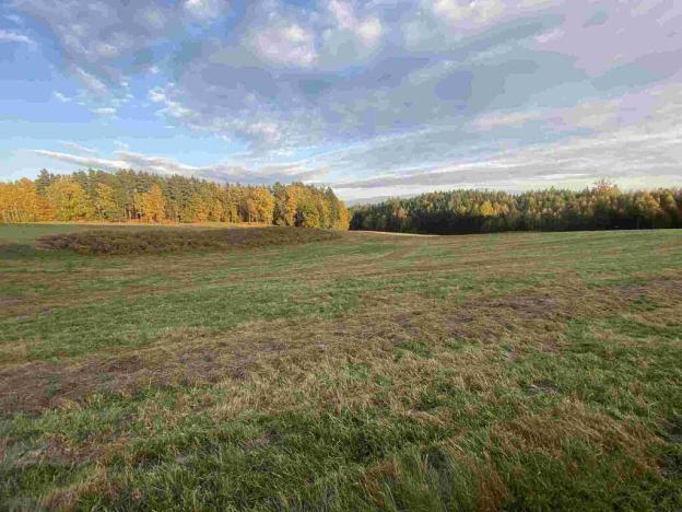 Prodej pole, Cvikov - Trávník, 16894 m2