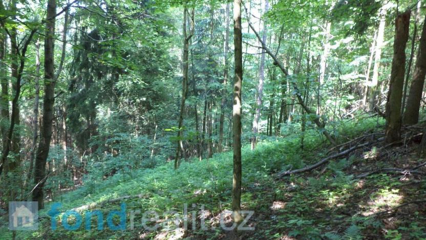 Prodej pozemku, Dolní Dobrouč, 4634 m2