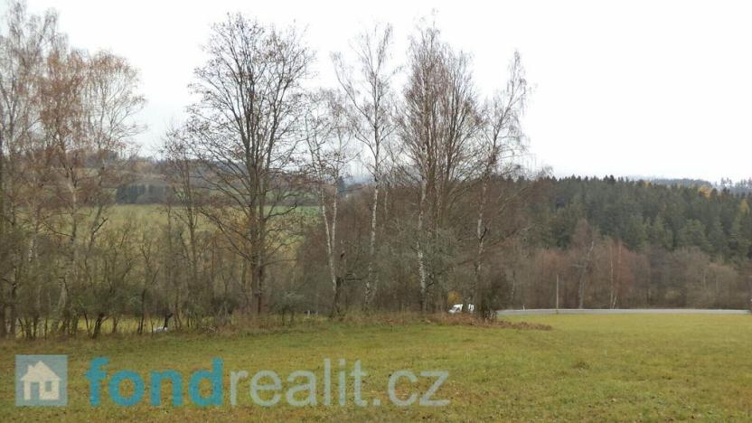 Prodej pole, Zdíkov - Branišov, 20225 m2