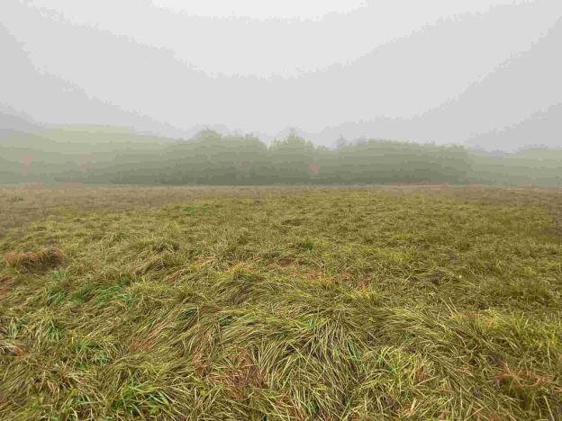 Prodej pole, Verneřice, 22839 m2