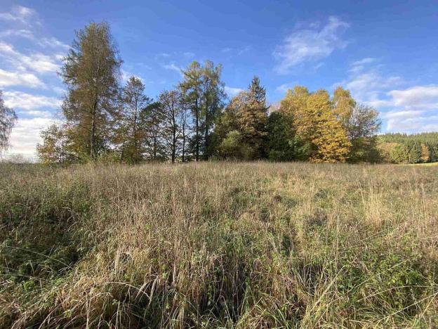 Prodej pozemku, Králíky - Horní Lipka, 3207 m2