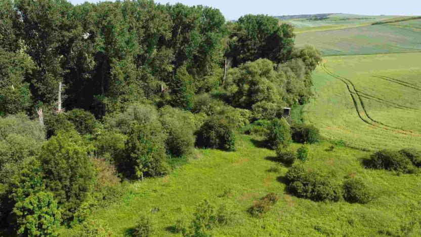 Prodej pole, Bučovice, 3134 m2