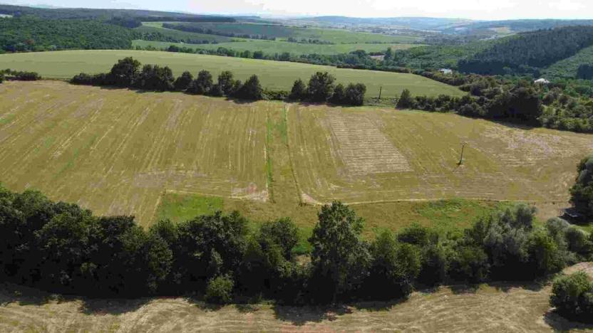 Prodej pozemku, Dobrkovice, 30944 m2