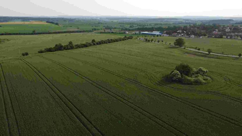 Prodej pole, Rakovník, 5266 m2