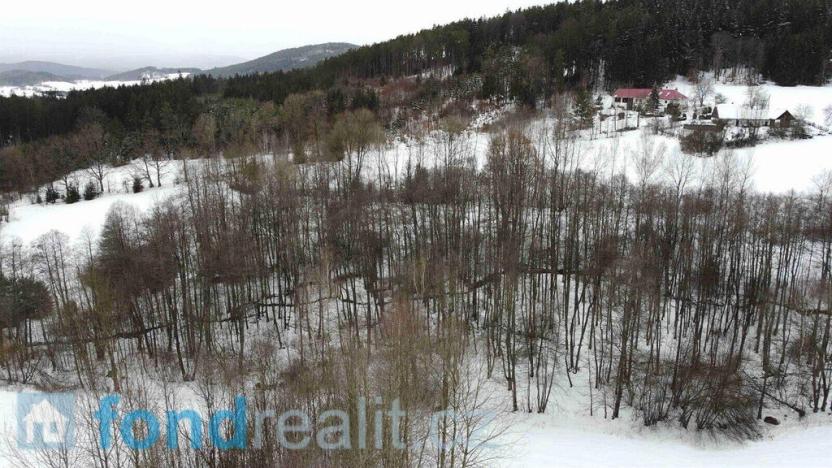 Prodej pozemku, Kájov - Křenov, 23451 m2