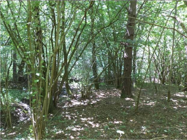 Prodej pozemku, Přídolí - Všeměry, 3581 m2