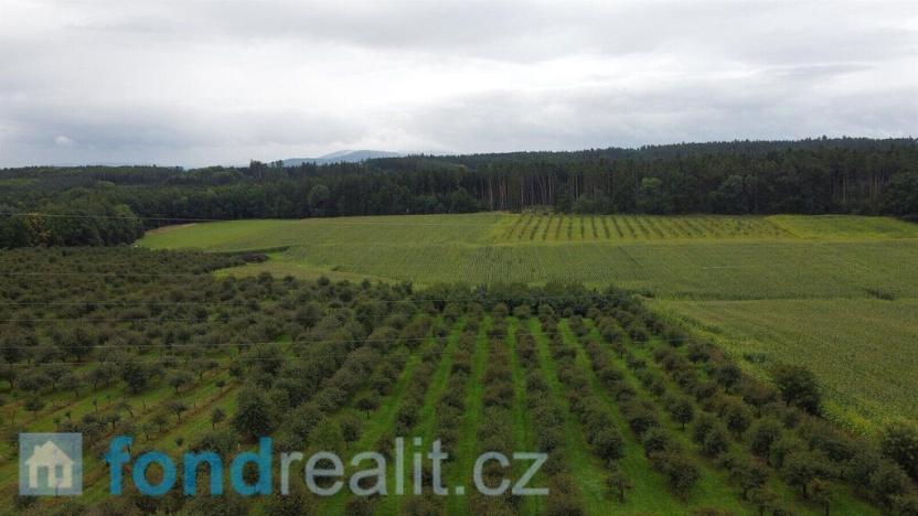 Prodej pole, Malovice - Krtely, 4926 m2