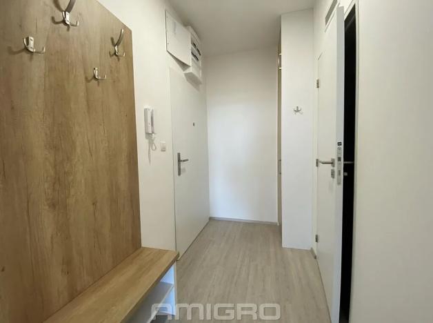 Pronájem bytu 1+kk, Brno, Reissigova, 32 m2