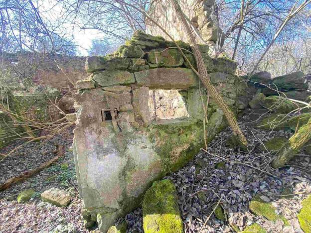 Prodej pozemku, Dolní Dvořiště - Všeměřice, 11107 m2