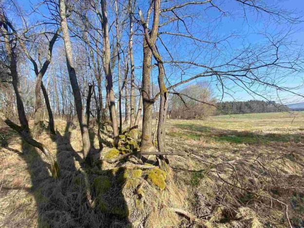 Prodej pozemku, Dolní Dvořiště - Všeměřice, 11107 m2