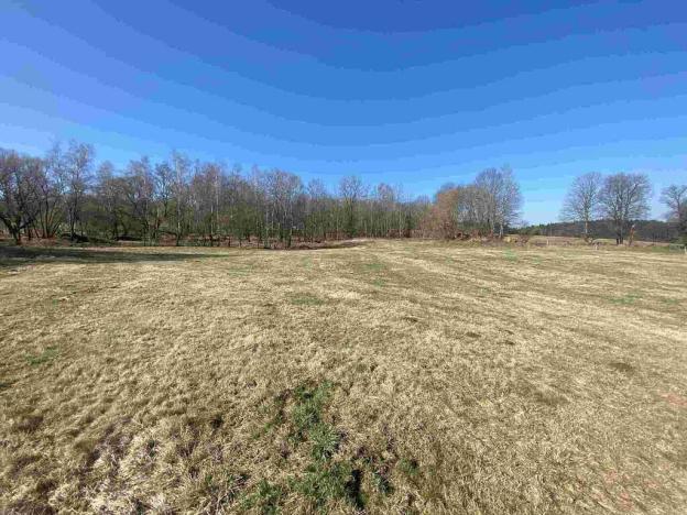 Prodej pozemku, Dolní Dvořiště - Všeměřice, 11107 m2