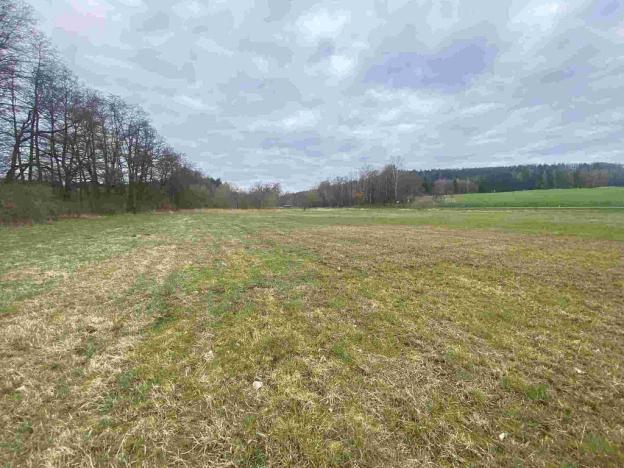 Prodej pole, Žinkovy, 15275 m2