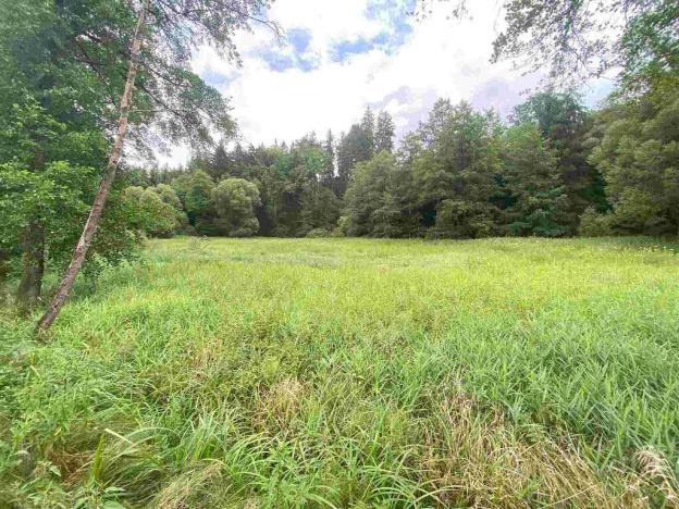 Prodej pole, Chýnov - Dobronice u Chýnova, 22334 m2