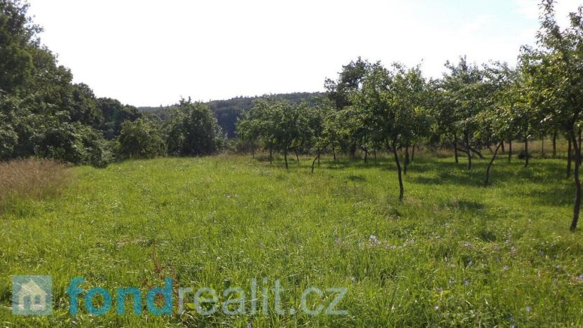 Prodej pozemku, Petrůvka, 1688 m2