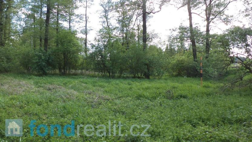 Prodej pozemku, Dětmarovice - Koukolná, 1844 m2