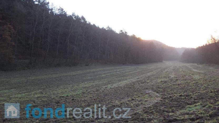 Prodej pole, Blíževedly, 52791 m2